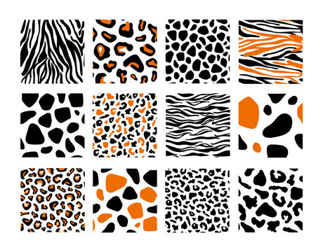 Set of seamless pattern with black jaguar leopard zebra tiger lion animal skin print texture fur on white background. Safari fauna vector illustration in flat style for textile fabric
