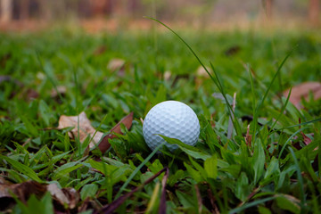 Golf ball on green in beautiful golf course at sunset background.