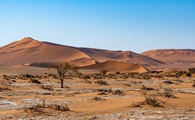 Fototapeta na wymiar Désert de Sossusvlei en Namibie, Afrique