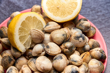 view of fresh cockles on a plate