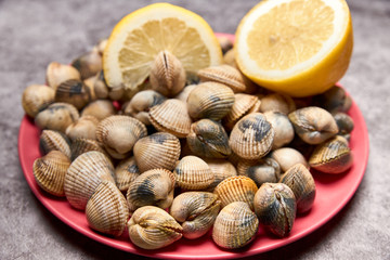 view of fresh cockles on a plate