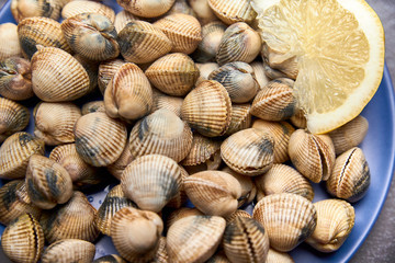 view of fresh cockles on a plate