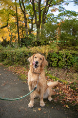 富士すばるランド