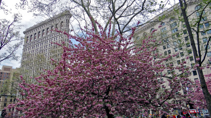 Vue sur le Flatiron de New-York