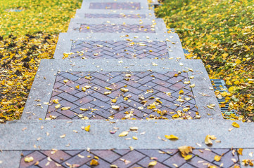 Fragment of the stairs in the autumn park