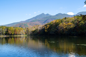 秋の知床　知床五湖【四湖】と知床連山（北海道・斜里町）