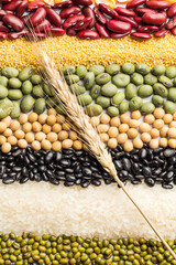 Whole grains are rich in nutrients