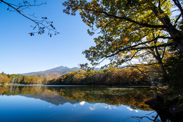 秋の知床　知床五湖【四湖】と知床連山（北海道・斜里町）