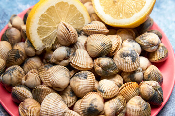view of fresh cockles on a plate