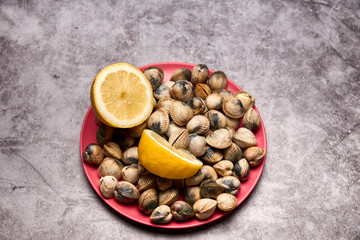 view of fresh cockles on a plate