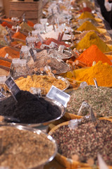 Variety of international spices