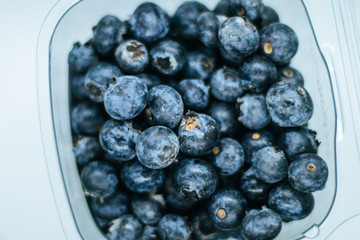 Some blueberries in a plastic container with white background