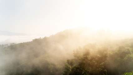 Beautiful mountains filled with white trees and fog, with warm light.