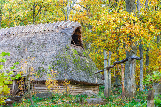 Longhouse in the forest with autumn colors