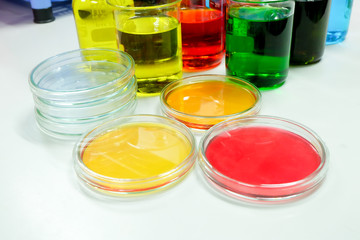 petridish in laboratory