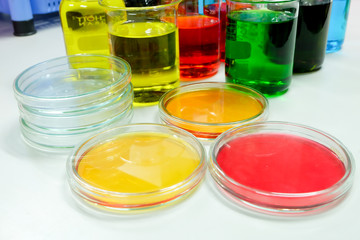 petridish in laboratory