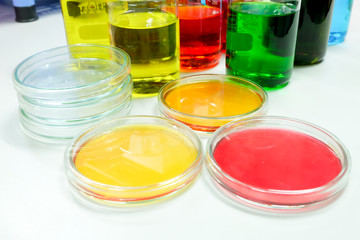 petridish in laboratory