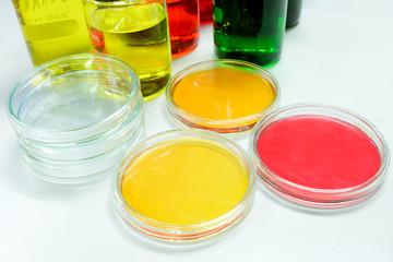 petridish in laboratory