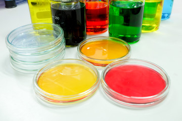 petridish in laboratory