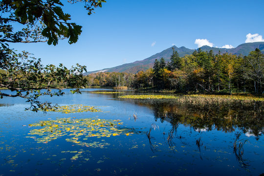 1 239 Best 知床連山 Images Stock Photos Vectors Adobe Stock