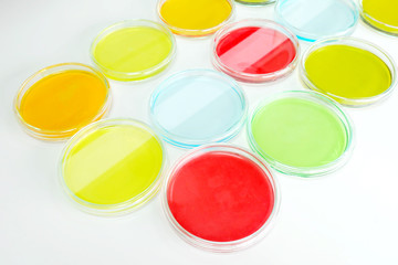 petridish in laboratory