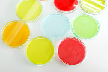 petridish in laboratory