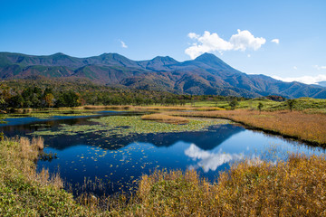 秋の知床　知床五湖【一湖】と知床連山（北海道・斜里町）
