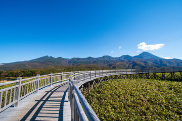 秋の知床　知床五湖の高架木道（遊歩道）と知床連山（北海道・斜里町）