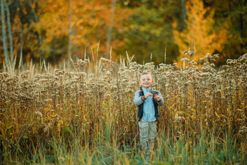 Child boy walks in a glade at the autumn forest.