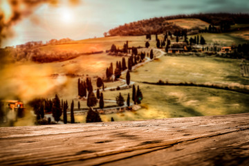 Fototapeta na wymiar Autumn landscape of Tuscany and fall time. Free space for your decoration. 