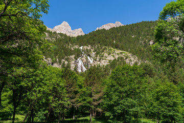 landscape with trees and mountains