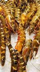 Giant prawns at the fish market