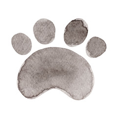 Watercolor paw. Hand painted Illustration isolated on white background.