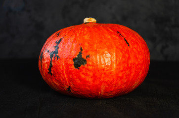 Bright orange pumpkin on black background. Halloween background. Pumpkin season