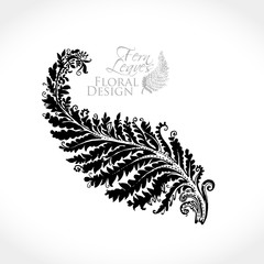 Fern Leaves Floral Design. Hand drawn fairytale fern leaf plant. Vector illustration of a beautiful decor of nature element.