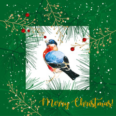 świąteczny  © Kamila