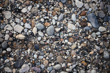 stones on the ground