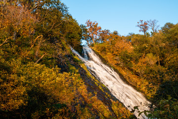 秋の知床　夕日に照らされるオシンコシンの滝（北海道・斜里町・ウトロ）