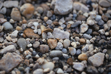 closeup stones
