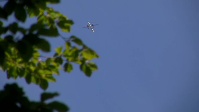 Ein Flieger am blauen Himmel verschwindet hinter einer Baumkrone