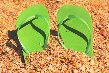 Summer flip flops on the background of shells. Summer background
