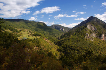 Mountain summer landscape. Canyon in Montenegro.