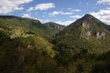 Obraz na płótnie Canvas Mountain summer landscape. Canyon in Montenegro.