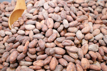 Cocoa beans. Cacao beans on a burlap background. Happiness. Chocolate. Cocoa pattern.