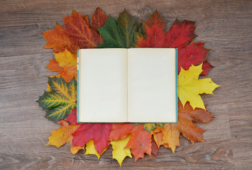 Naklejka na ściany i meble clean book with autumn leaves on wooden background