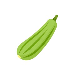 Bottle gourd icon. Flat illustration of bottle gourd vector icon for web design