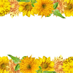 Beautiful floral background of chrysanthemums, rudbeckia and sunflower. Isolated