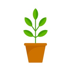 Pepper plant pot icon. Flat illustration of pepper plant pot vector icon for web design