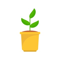 Grow plant pot icon. Flat illustration of grow plant pot vector icon for web design