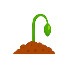 Grow seed plant icon. Flat illustration of grow seed plant vector icon for web design